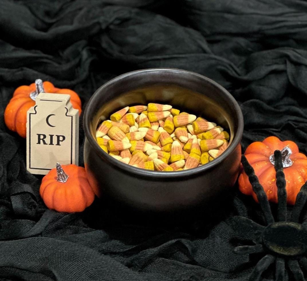 Halloween Candy Corn Chicken Pet Treat 0.8 oz