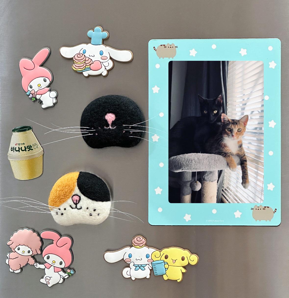 Handmade Magnetic Felt Cat Whisker Collector