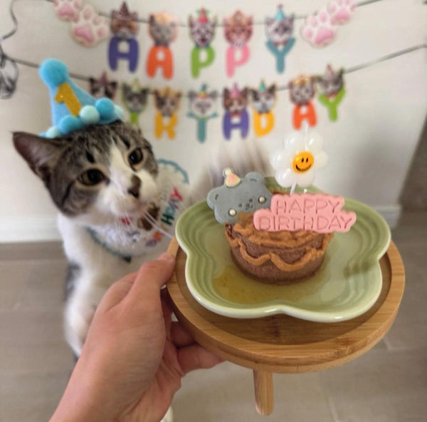 Birthday Party Pet Treats 4 pcs