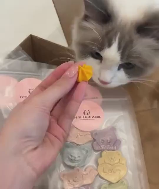 Egg Yolk Meringue Pet Treats 3.8 oz