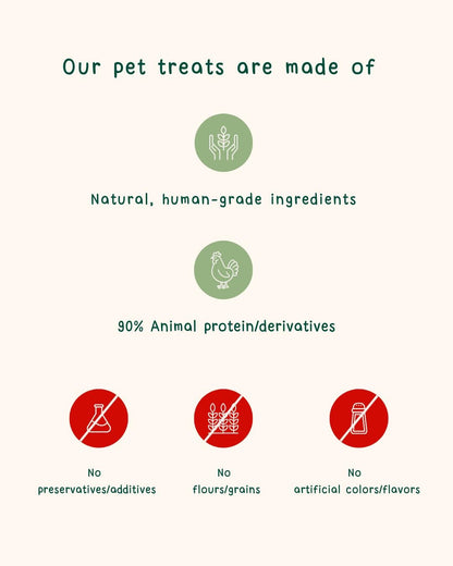 Halloween Cute Characters Pet Treat 6 pcs