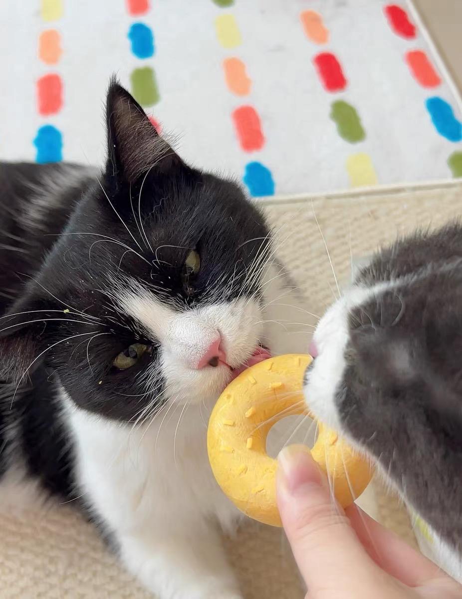 Freeze Dried Chicken Donut Pet Treats 4 pcs