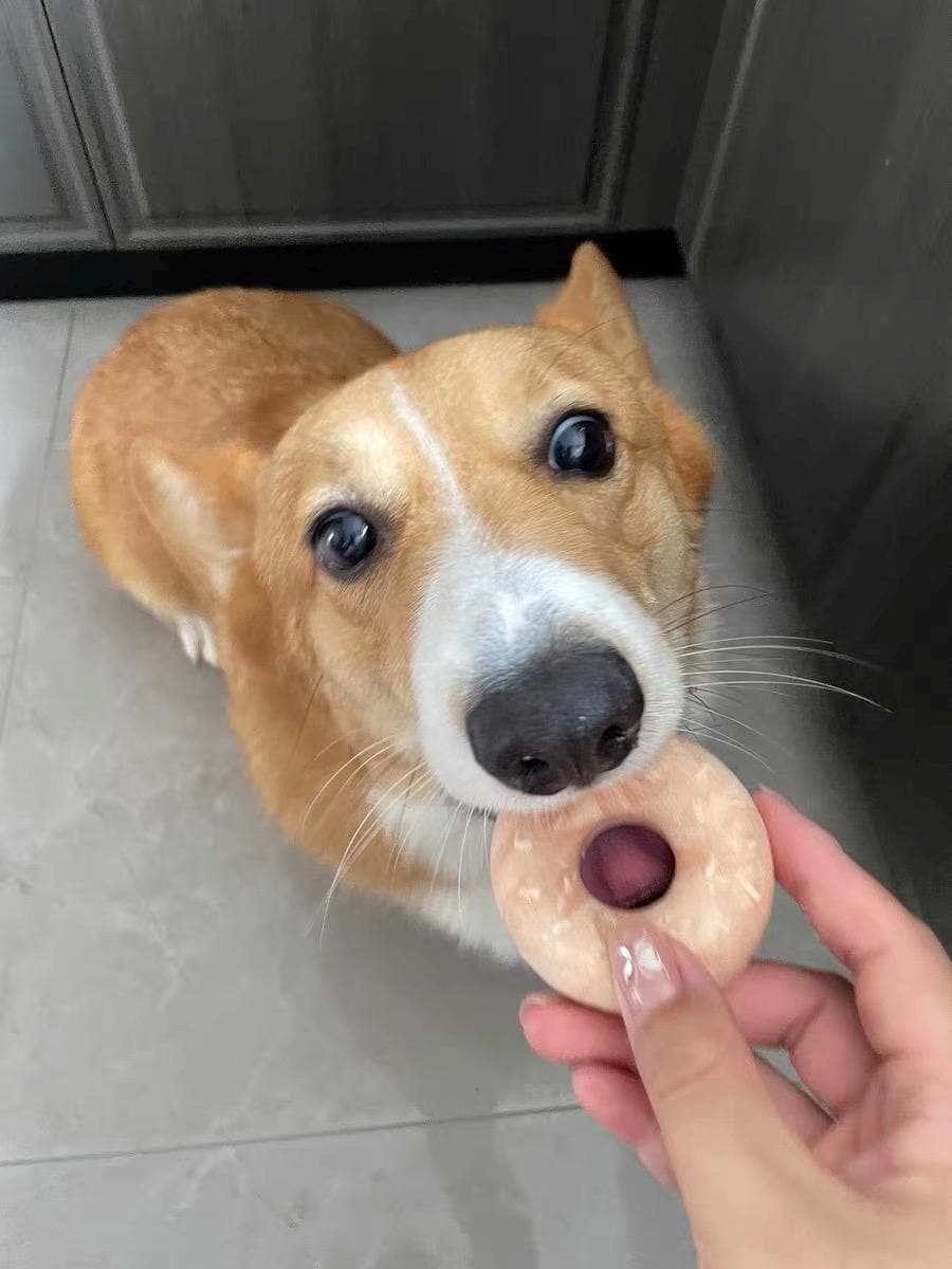 Freeze Dried Chicken Donut Pet Treats 4 pcs