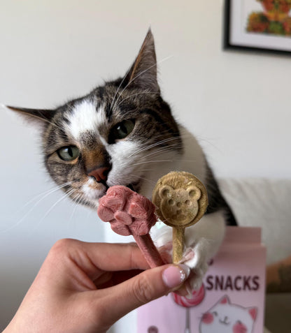 A cat is looking at two cat treats, one is pink and shaped like a flower, the other is brown and shaped like a bear. The treats are lollipop shaped and freeze dried. The cat is looking at the treats with a hungry expression.