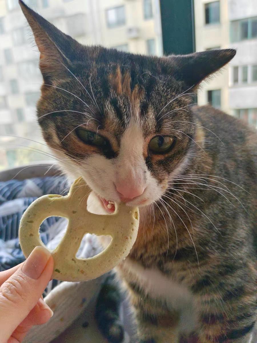 Freeze Dried Pretzel Pet Treats 4 pcs