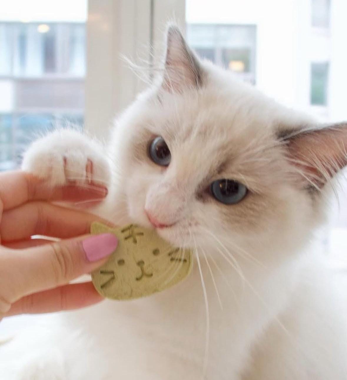 Cat & Fish Cat Grass Chicken Pet Treats 8 pcs