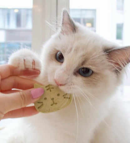 Cat & Fish Cat Grass Chicken Pet Treats 8 pcs