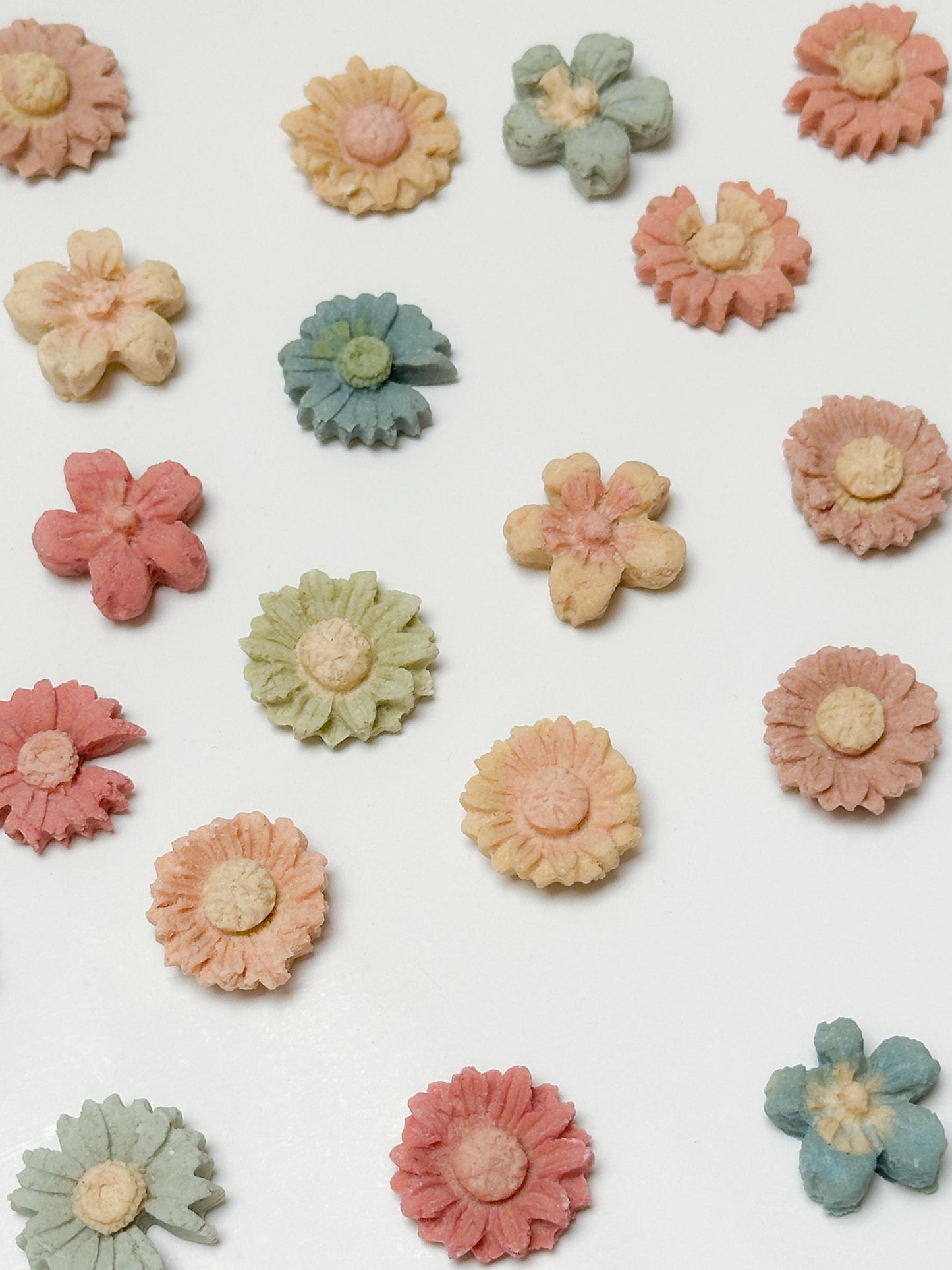 Wild Flower Chicken Pet Treats 1.2 oz