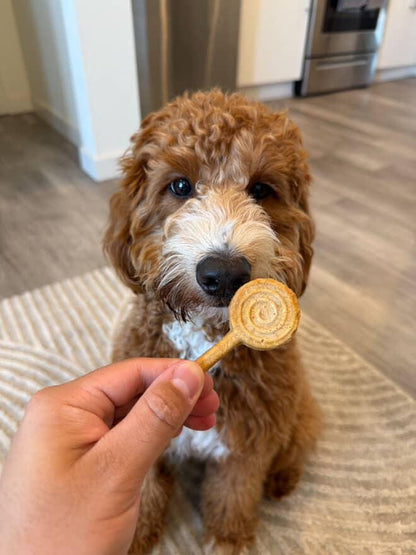 Freeze Dried Lollipops Pet Treats 8 pc