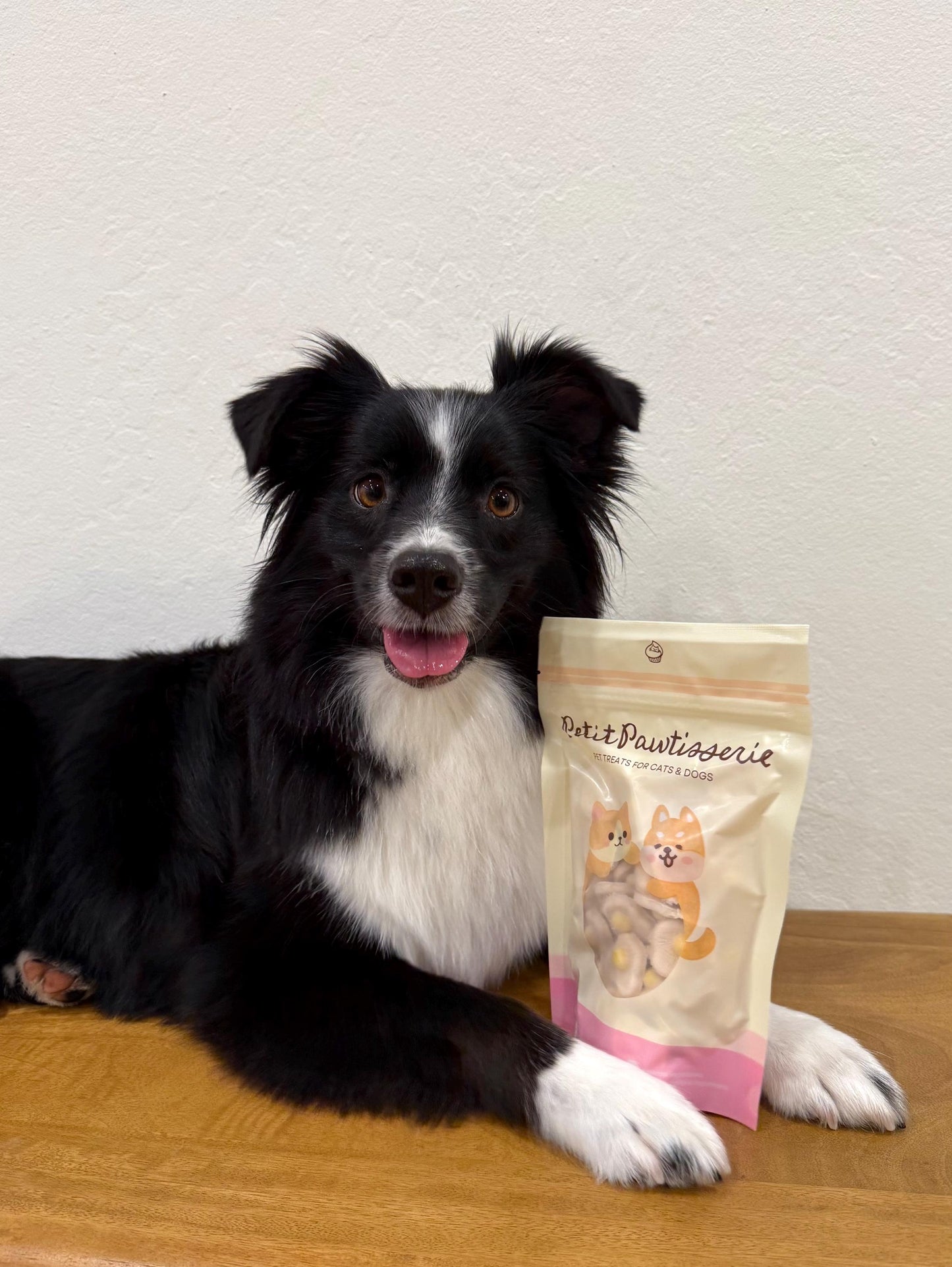 Dog next to Petit Pawtisserie freeze-dried egg pet treats – healthy, high-protein snacks for cats and dogs
