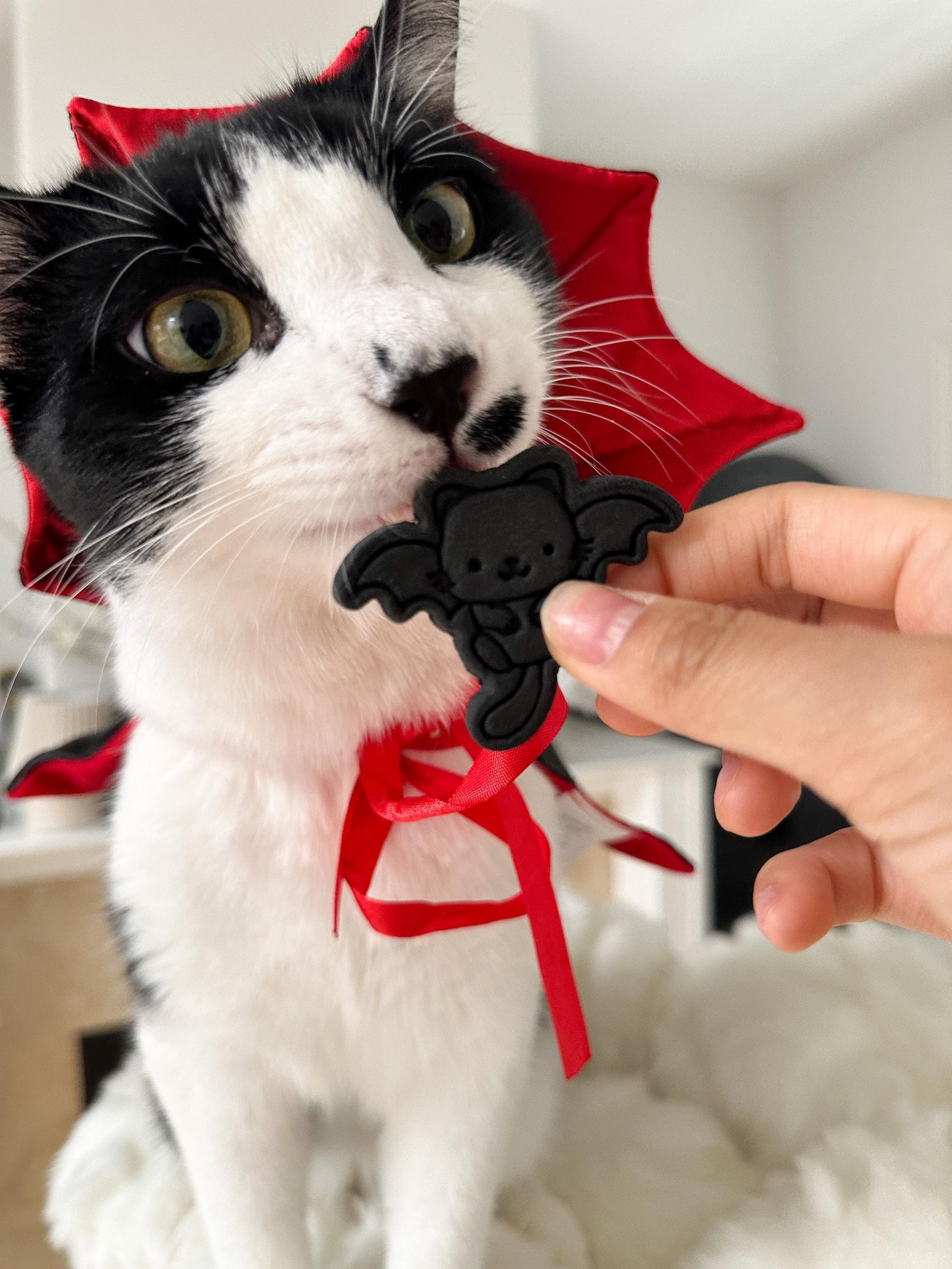 Halloween Cat Pet Treat 5 pcs