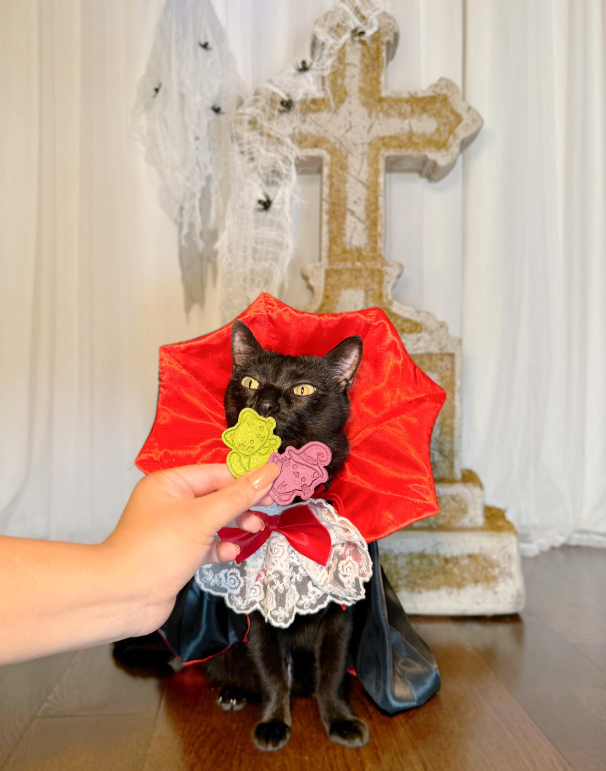 Halloween Cat Pet Treat 5 pcs