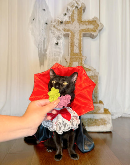 Halloween Cat Pet Treat 5 pcs