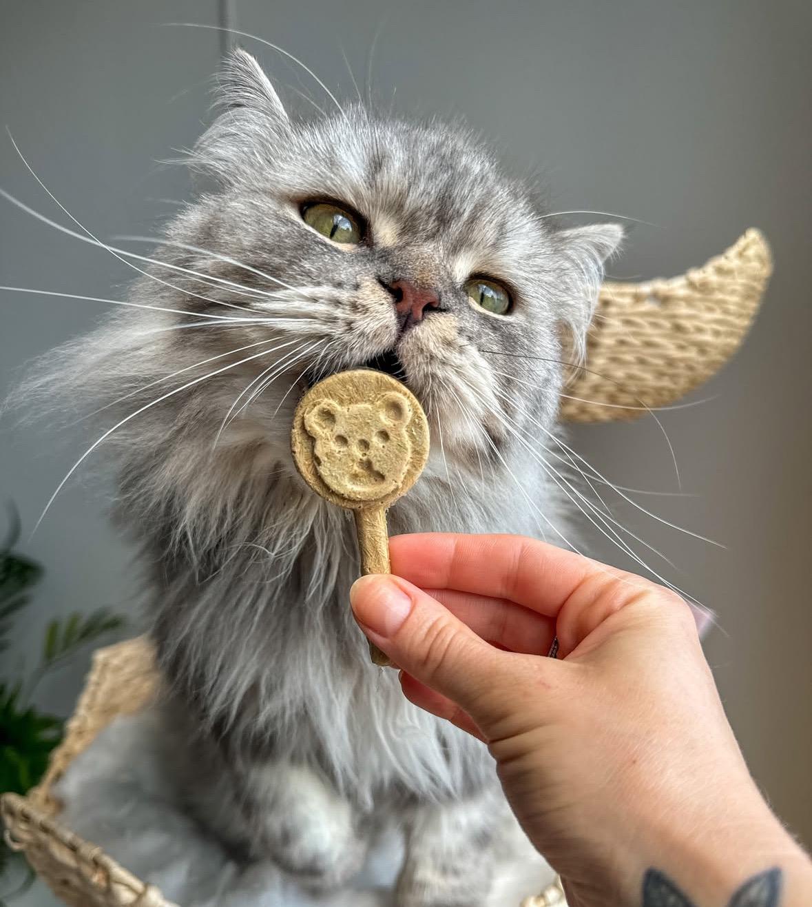 Freeze Dried Lollipops Pet Treats 8 pc