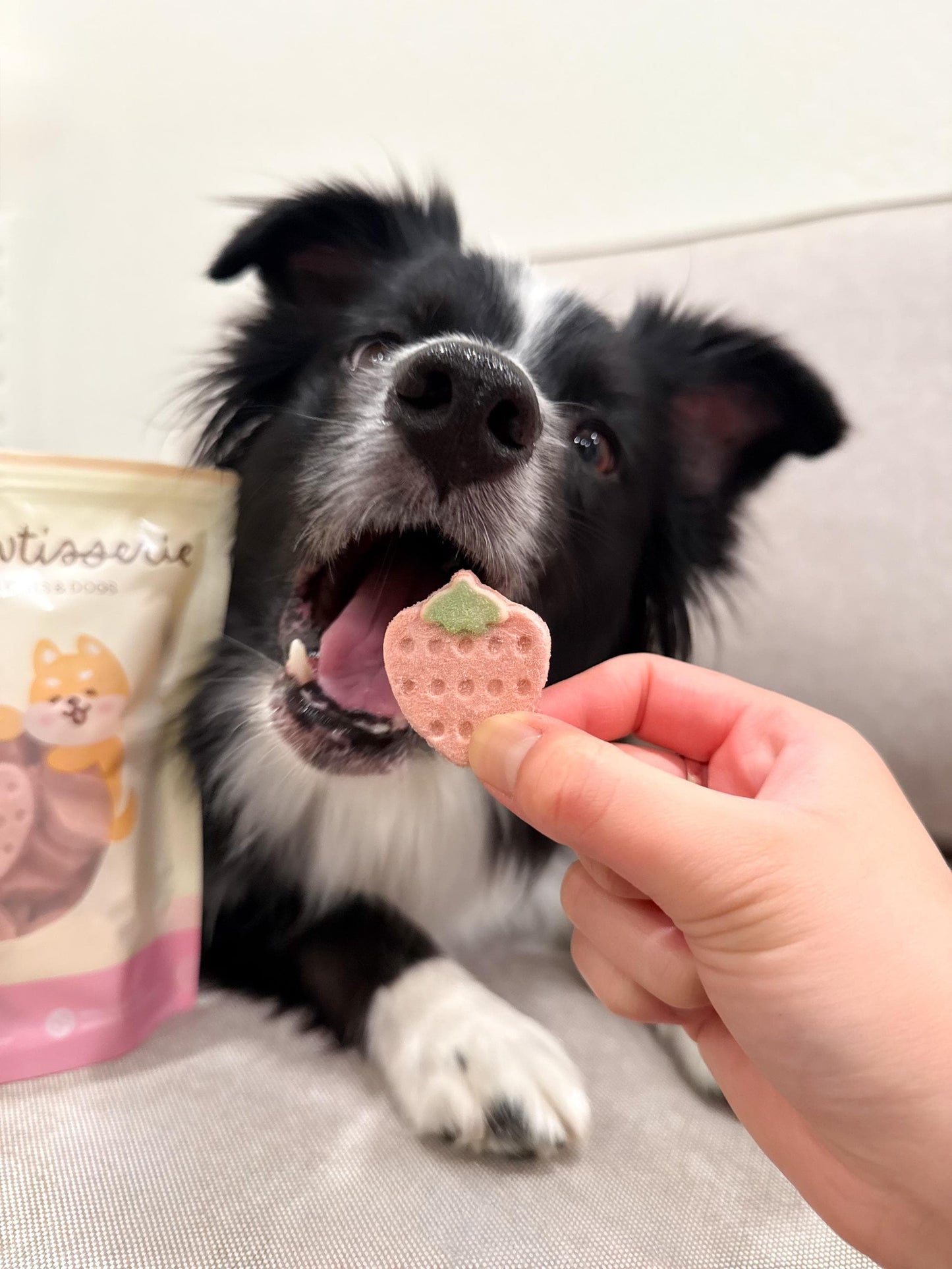 Freeze Dried Strawberry Yogurt Pet Treats 50g