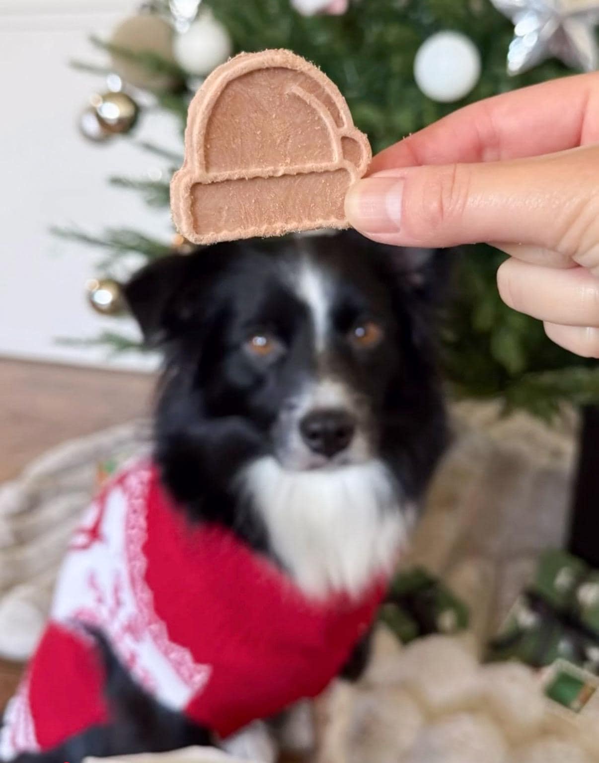 Freeze Dried Christmas Pet Treats 50g