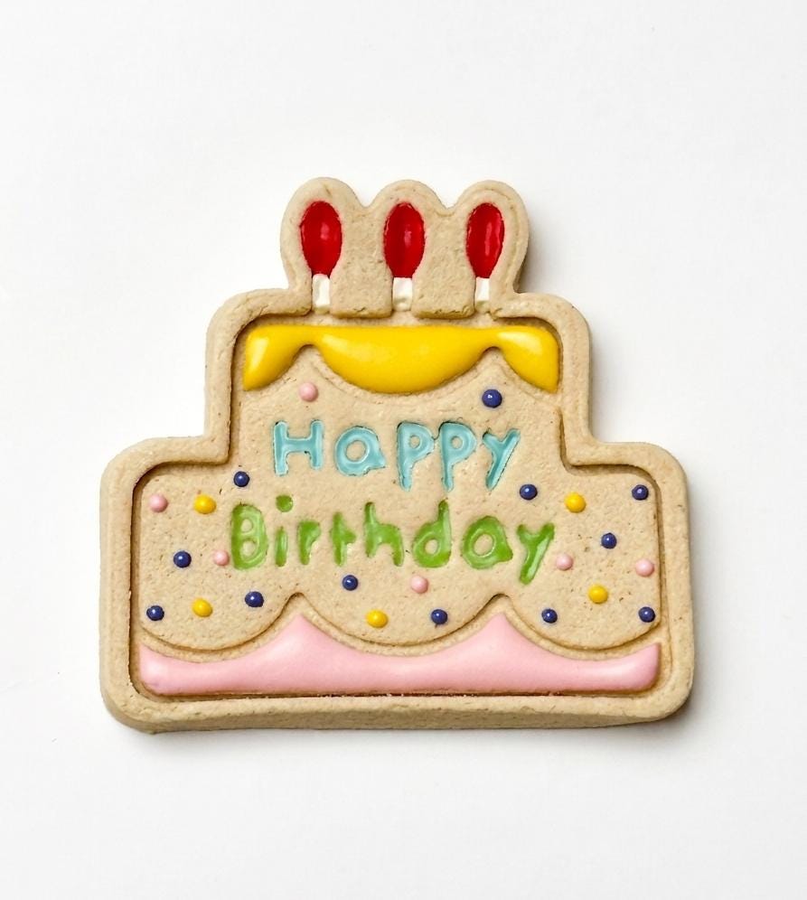 Pet Birthday Treat & Outfit Bundle