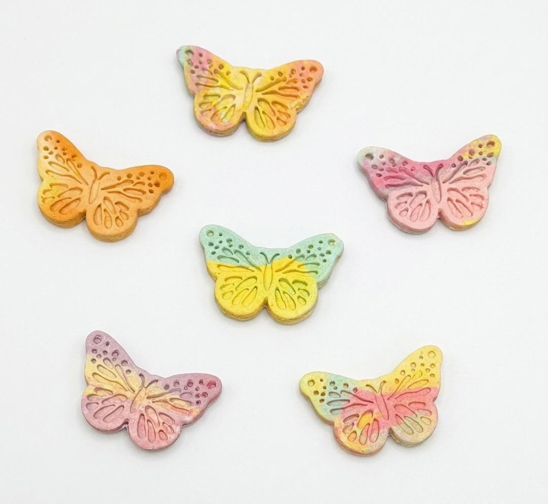 Rainbow Spring Butterfly Handmade Pet Treats 4 pcs