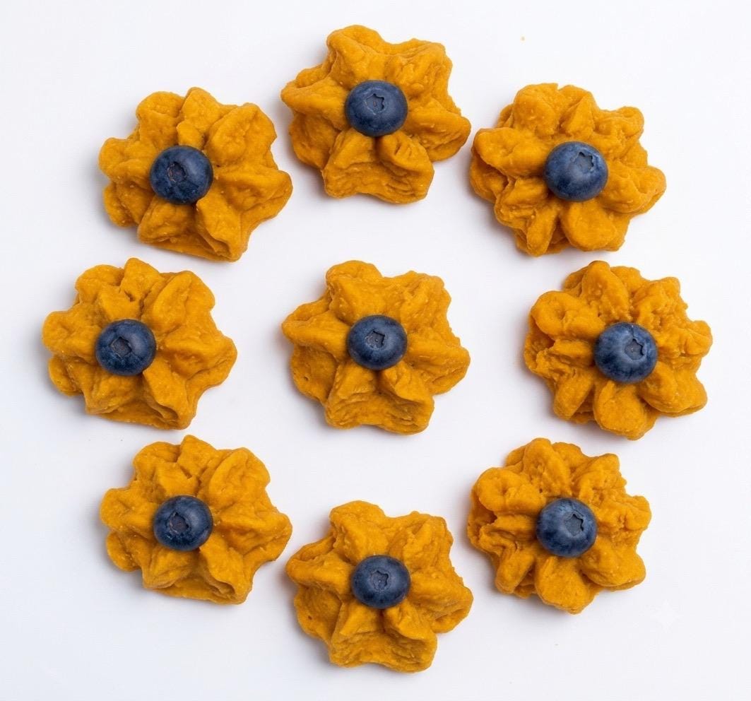 Freeze Dried Blueberry Pumpkin Meringue Dog Treats 3 oz