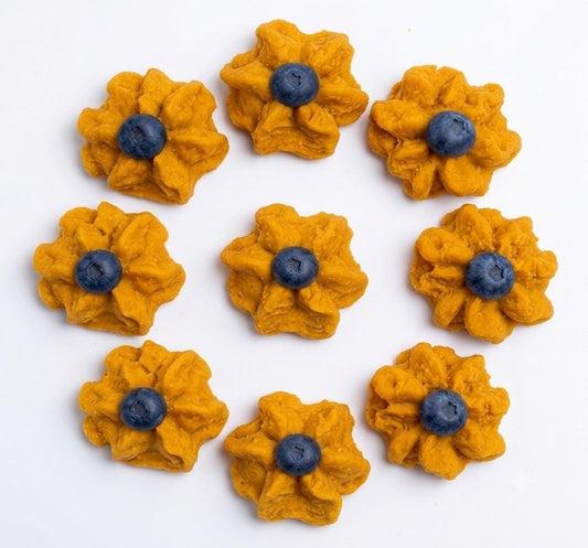 Freeze Dried Blueberry Pumpkin Meringue Dog Treats 3 oz