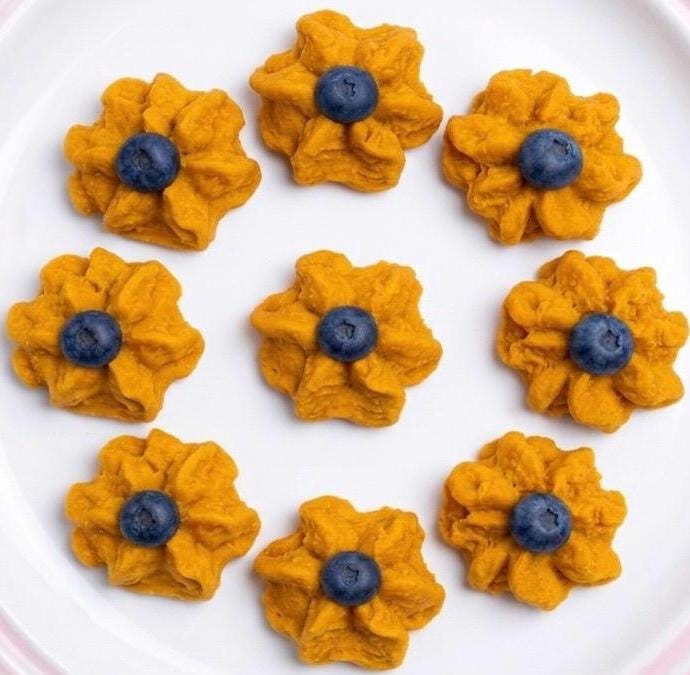 Freeze Dried Blueberry Pumpkin Dog Treats 3 oz