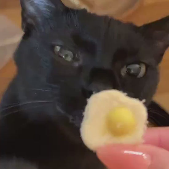 Freeze Dried Egg Pet Treats 50g