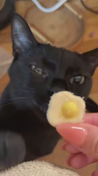 Freeze Dried Egg Pet Treats 50g