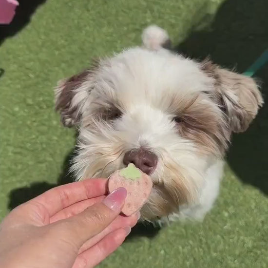 Freeze Dried Strawberry Yogurt Pet Treats 50g