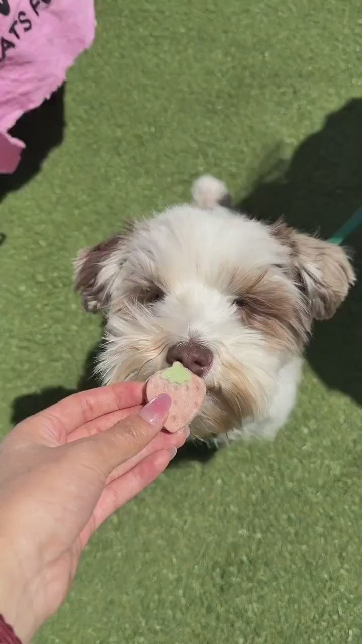 Freeze Dried Strawberry Yogurt Pet Treats 50g
