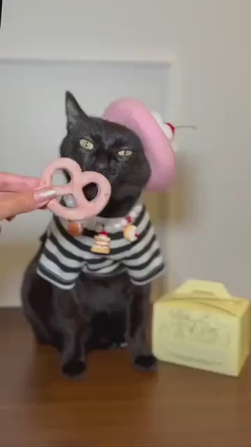 Freeze Dried Pretzel Pet Treats 4 pcs