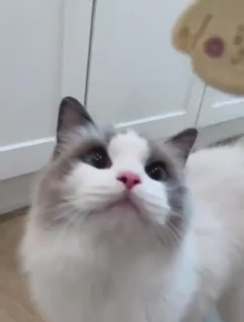 Birthday Party Pet Treats 4 pcs