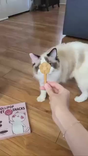 Freeze Dried Lollipops Pet Treats 8 pc