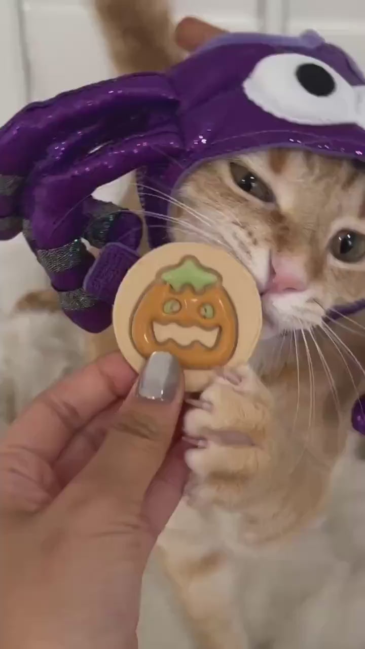 Halloween Pilsbury Cookie Pet Treats 3 pcs