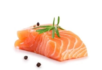 Salmon